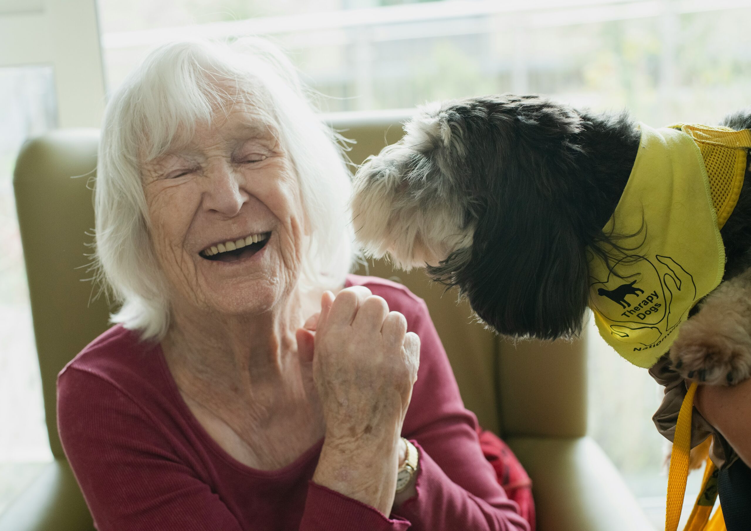 age-cymru-ufZ–LyaCVc-unsplash